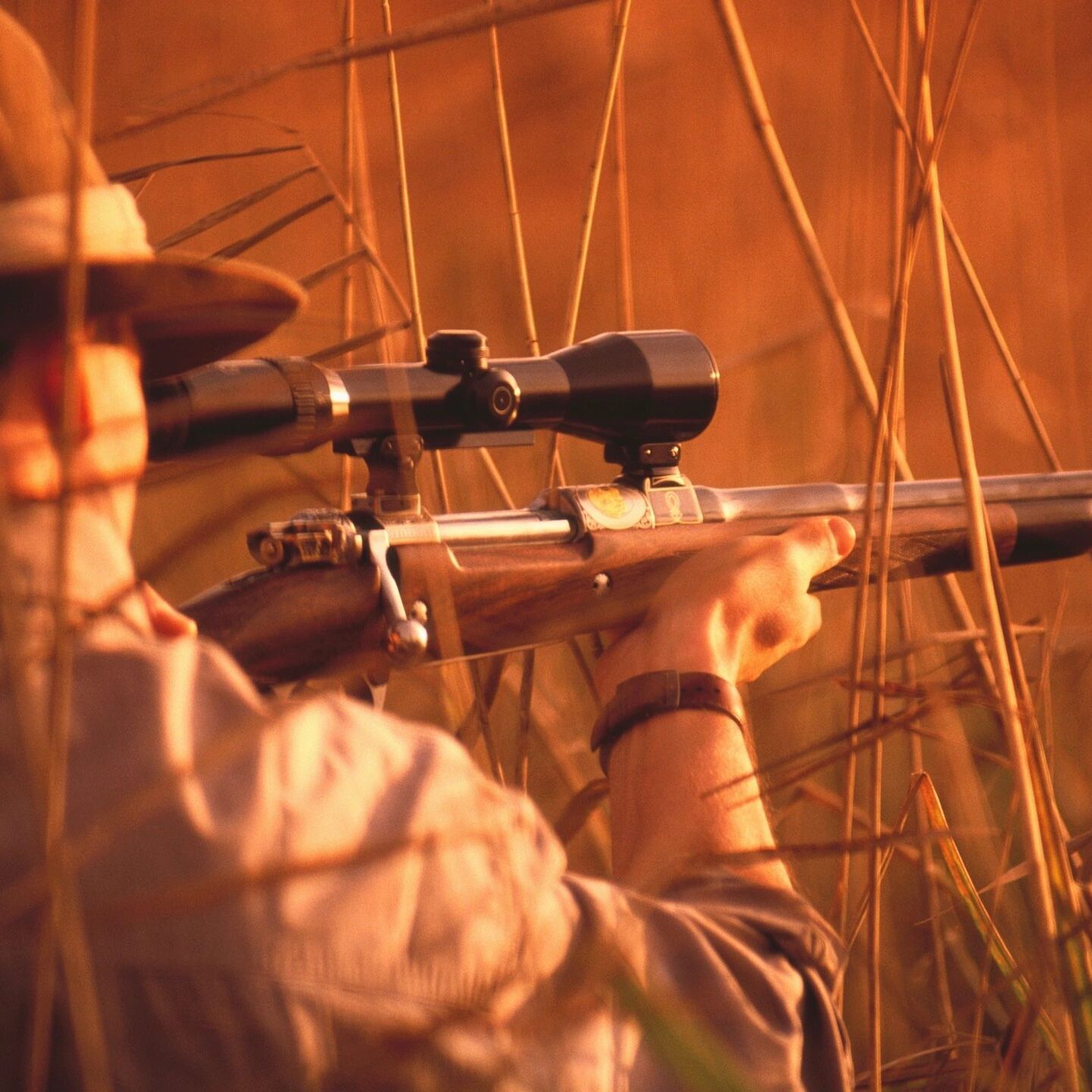 Hunter aiming rifle through tall grass.